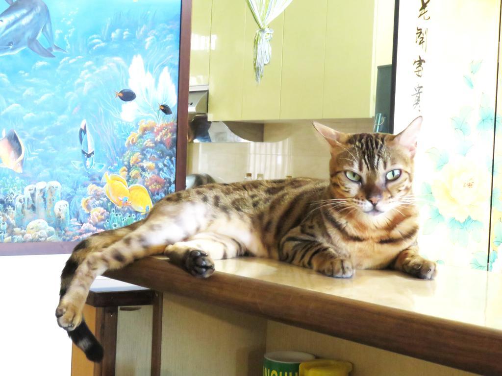 Tou Cheng Whale Watching Homestay Toucheng Luaran gambar